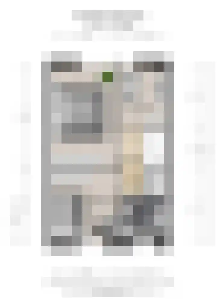 Hesseling 8 Prinsenbeek thumbnail 38