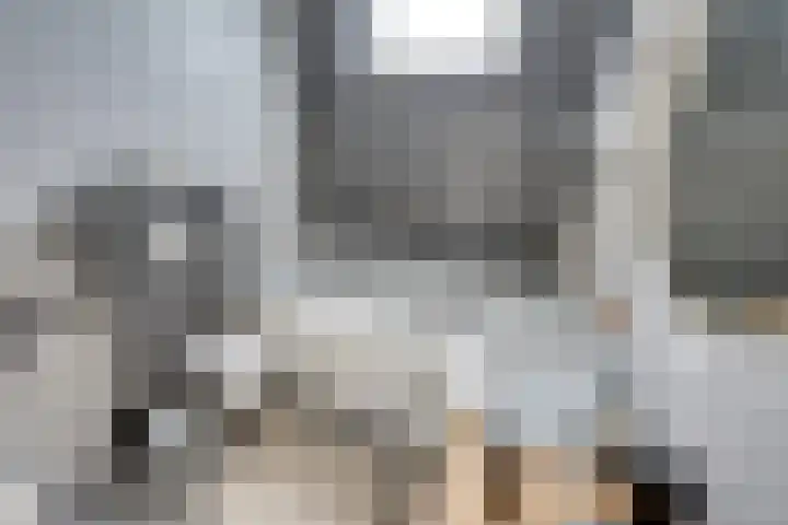 Hesseling 8 Prinsenbeek thumbnail 5