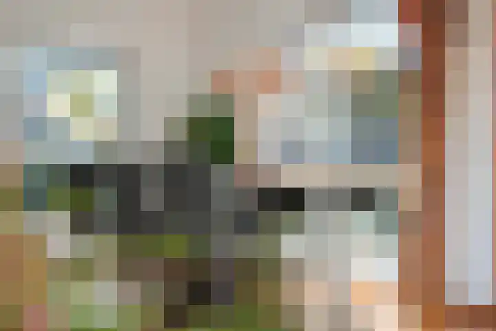 Hesselingen 26 Meppel thumbnail 13