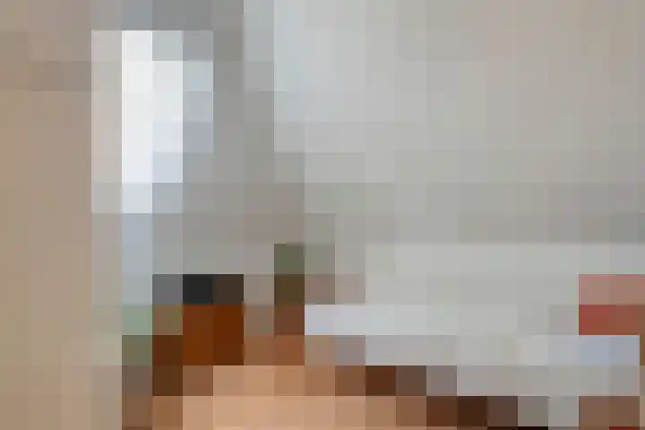 Hesselingen 26 Meppel thumbnail 25