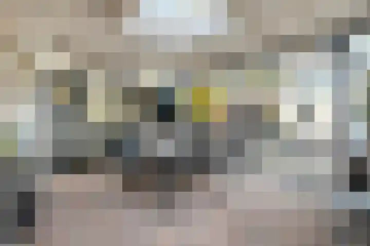 Hesselingen 26 Meppel thumbnail 28