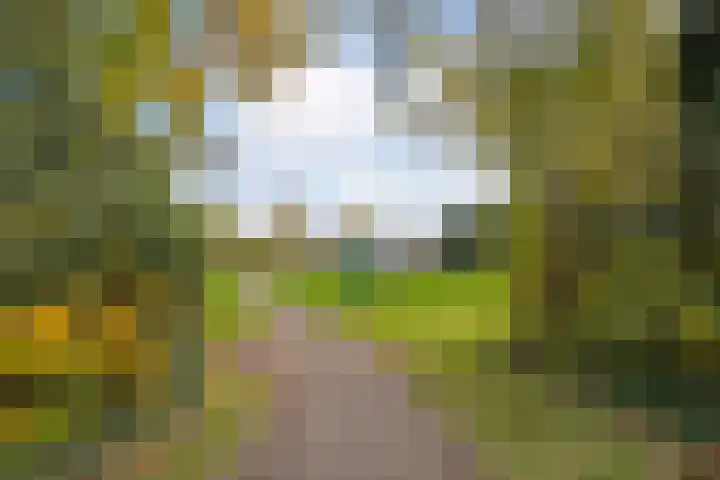 Hesselingen 26 Meppel thumbnail 32