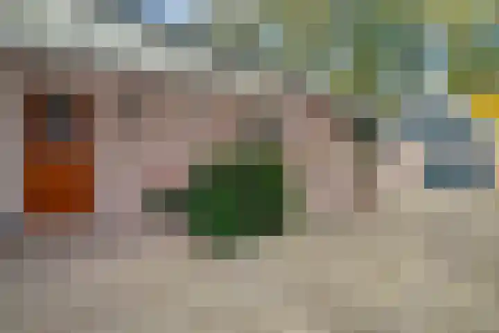 Hesselingen 26 Meppel thumbnail 33