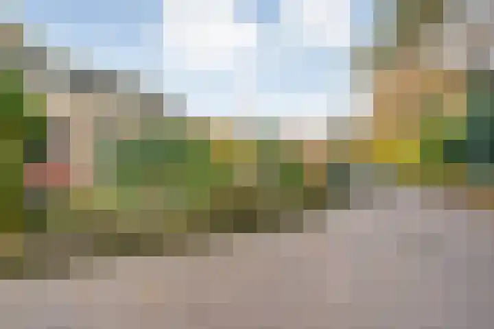 Hesselingen 26 Meppel thumbnail 40