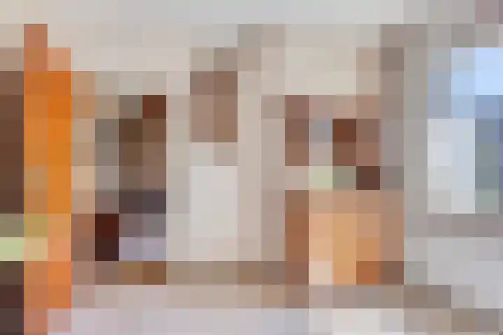 Hesselinghstraat 3 Oldeholtpade thumbnail 17