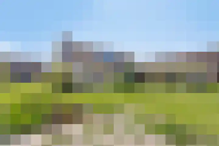 Hesselinghstraat 3 Oldeholtpade thumbnail 25