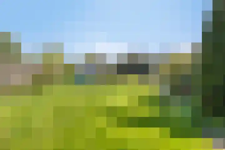 Hesselinghstraat 3 Oldeholtpade thumbnail 27