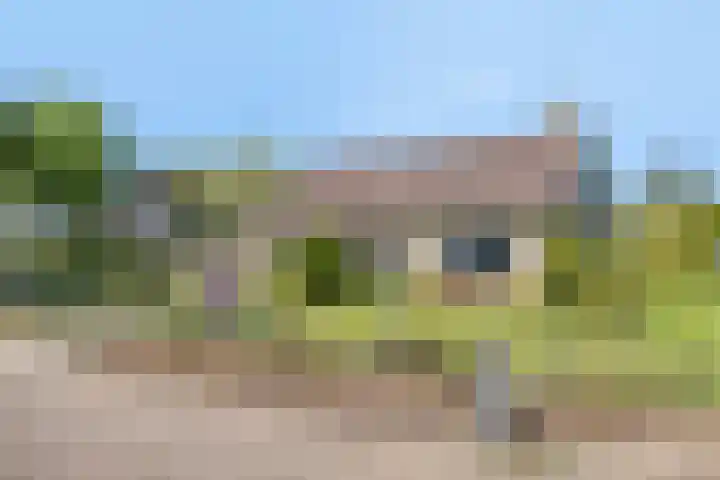 Hesselinghstraat 3 Oldeholtpade thumbnail 4