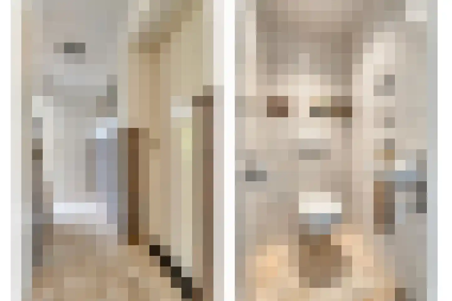 Hesselinkkamp 25 Mariënberg thumbnail 11