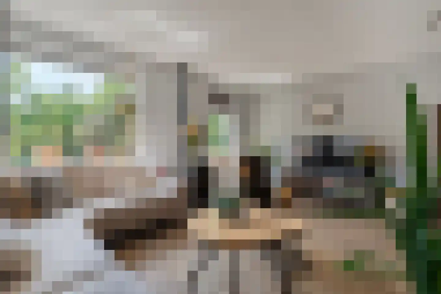 Hesselinkkamp 25 Mariënberg thumbnail 14