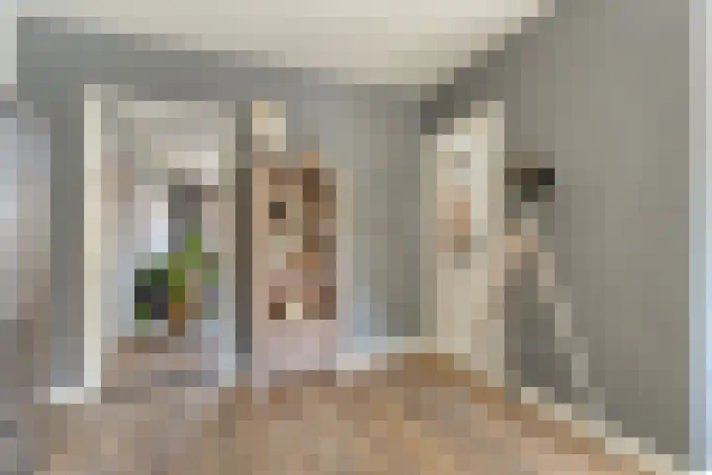 Hesselinkkamp 25 Mariënberg thumbnail 16