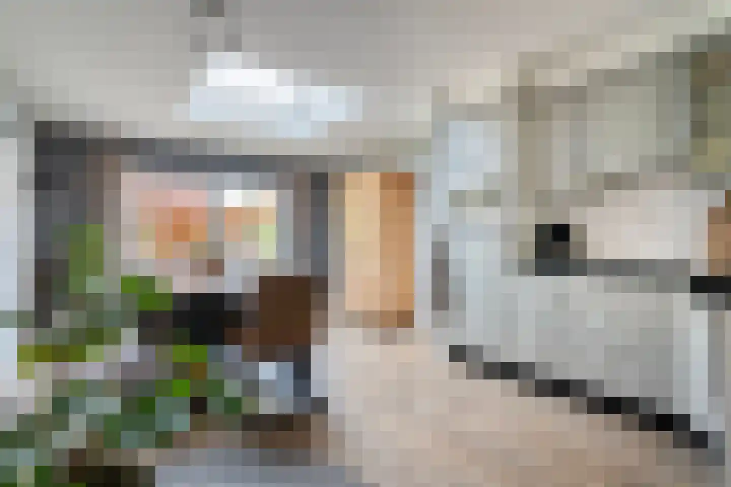 Hesselinkkamp 25 Mariënberg thumbnail 17