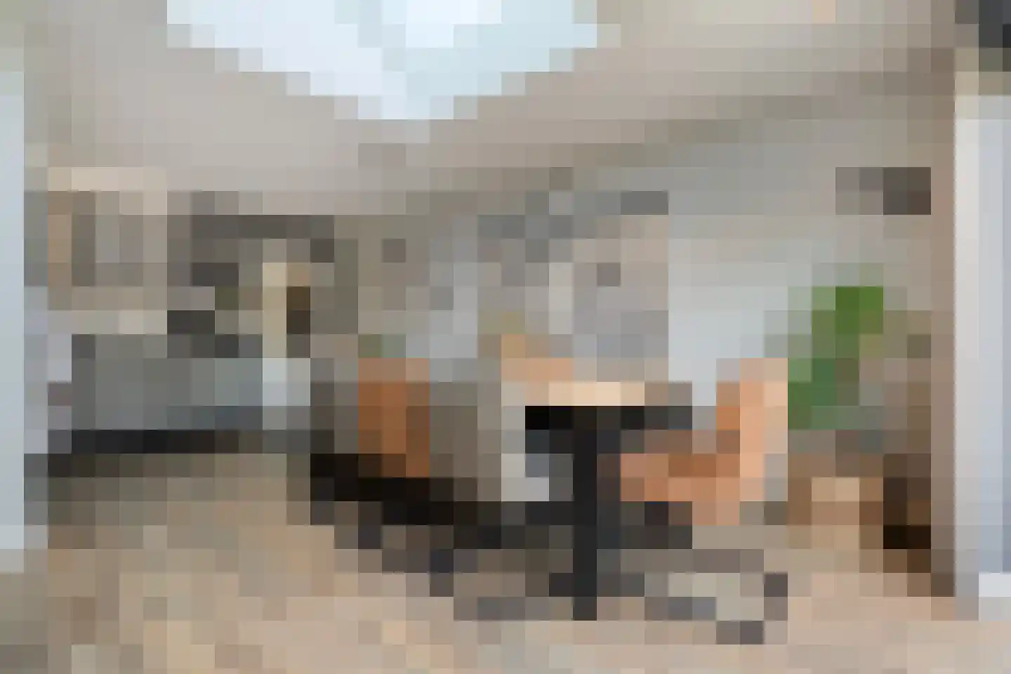 Hesselinkkamp 25 Mariënberg thumbnail 21