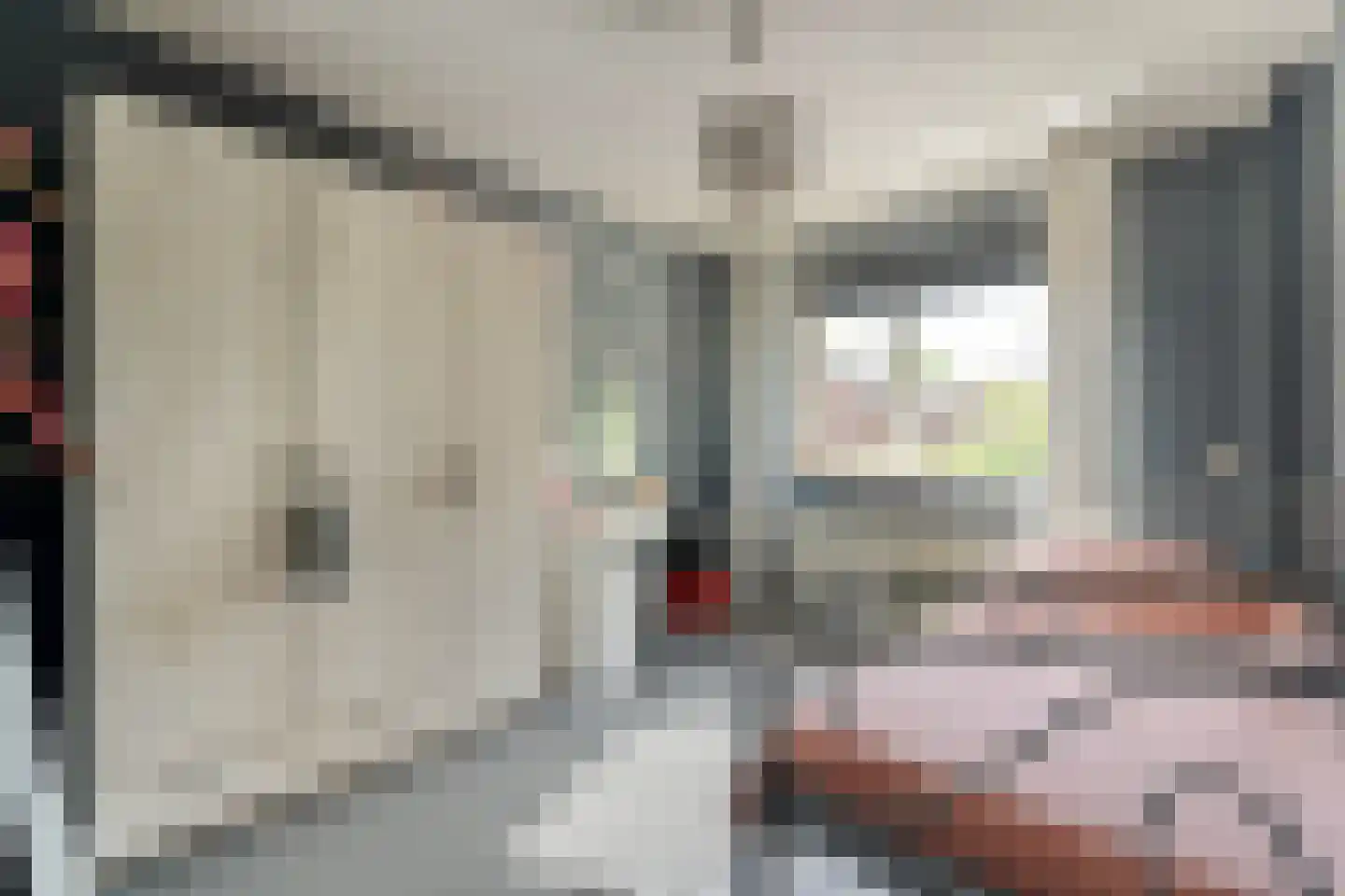 Hesselinkkamp 25 Mariënberg thumbnail 27