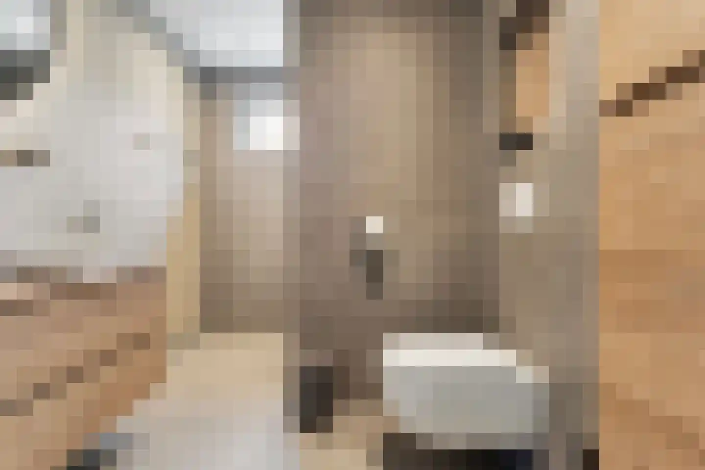 Hesselinkkamp 25 Mariënberg thumbnail 33
