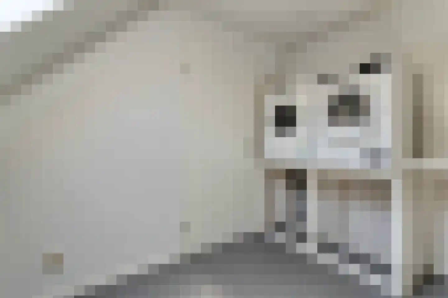 Hesselinkkamp 25 Mariënberg thumbnail 42