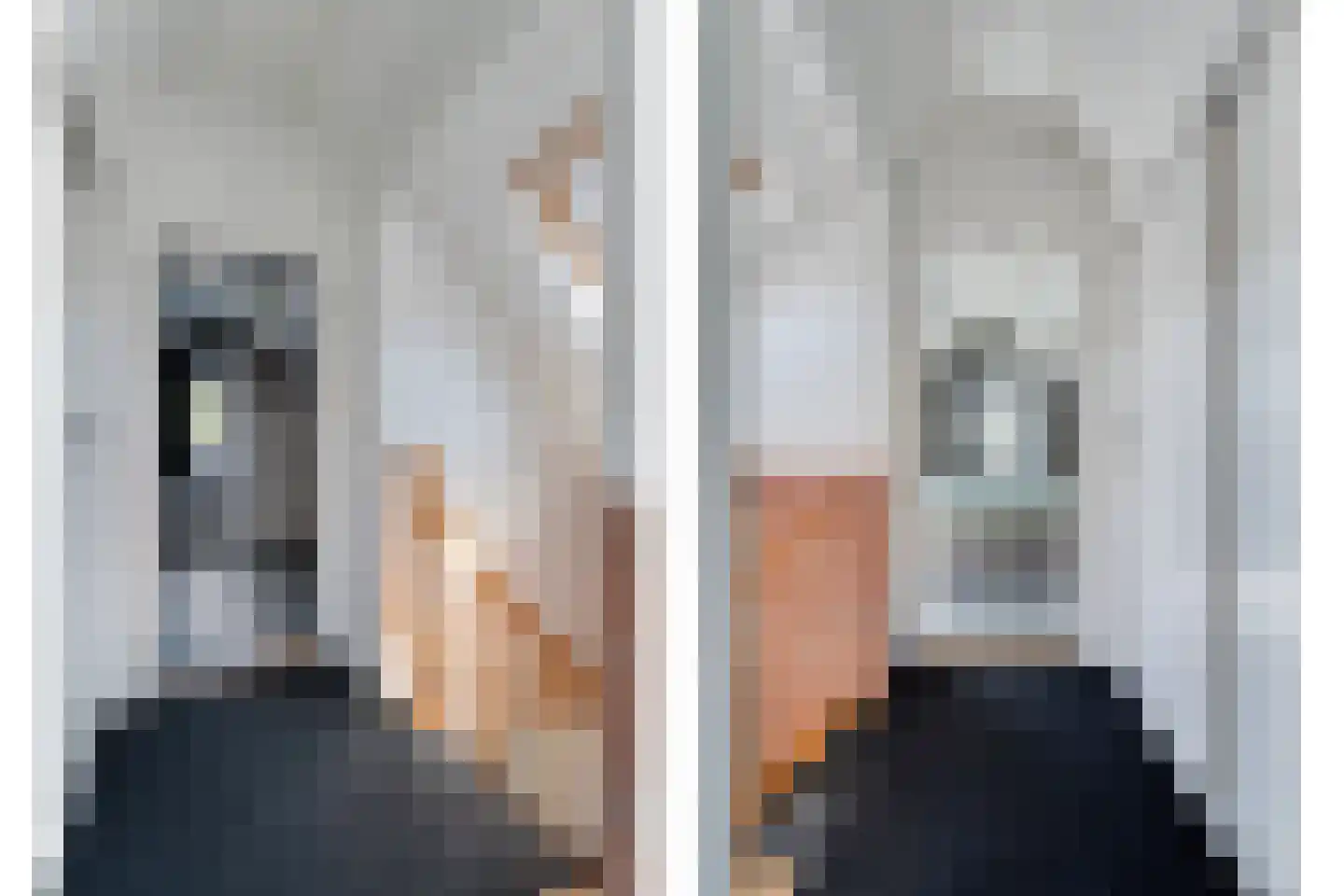 Hesselinkkamp 25 Mariënberg thumbnail 43
