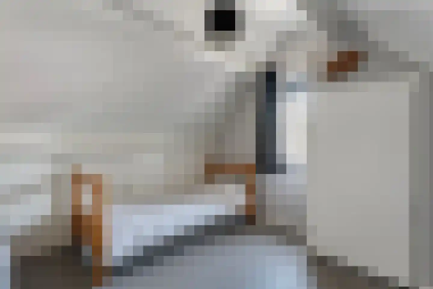 Hesselinkkamp 25 Mariënberg thumbnail 44