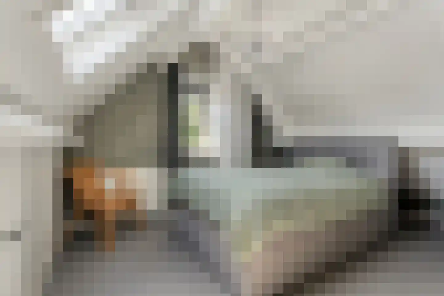 Hesselinkkamp 25 Mariënberg thumbnail 46