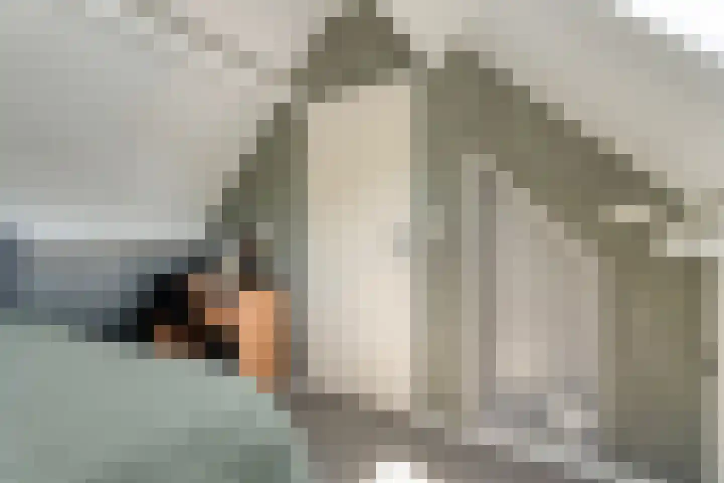 Hesselinkkamp 25 Mariënberg thumbnail 47