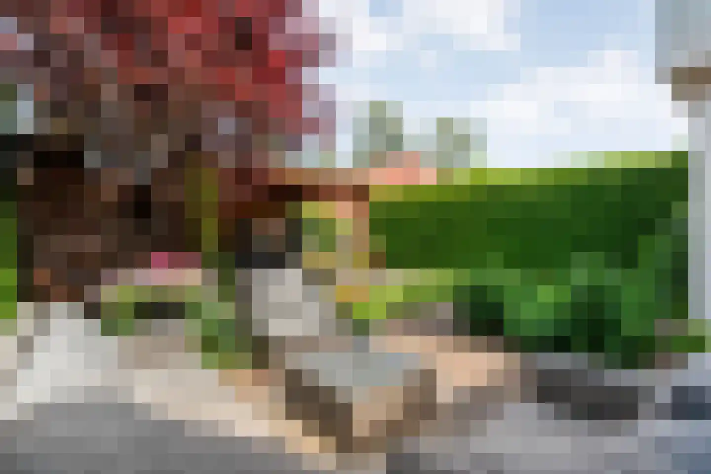 Hesselinkkamp 25 Mariënberg thumbnail 51