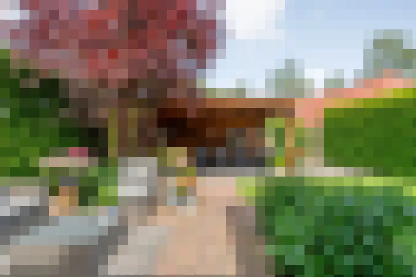 Hesselinkkamp 25 Mariënberg thumbnail 52