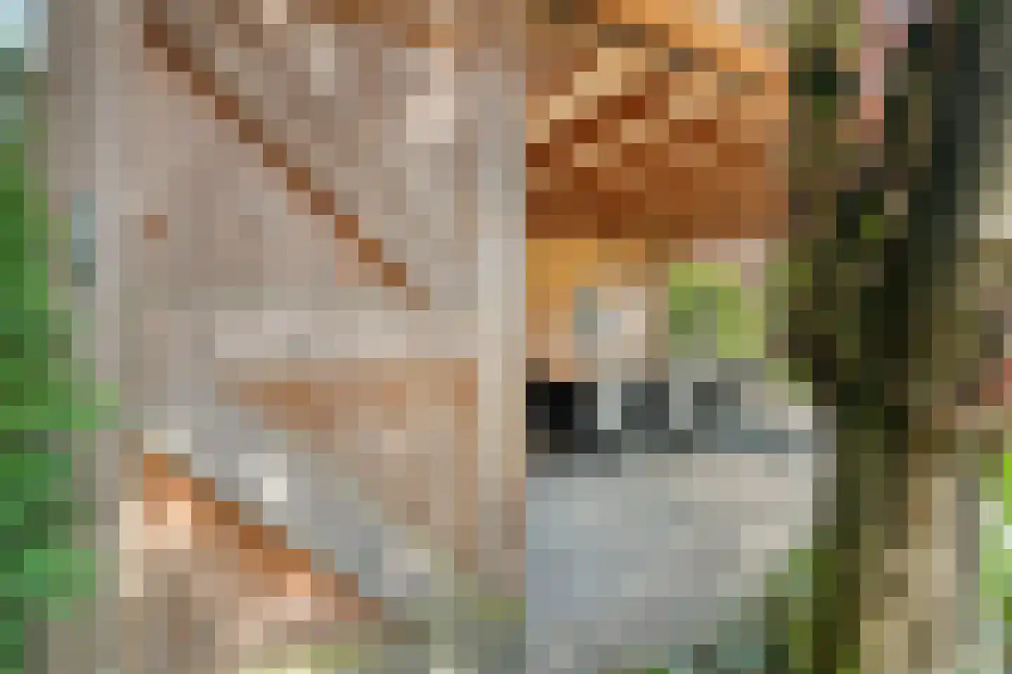 Hesselinkkamp 25 Mariënberg thumbnail 54