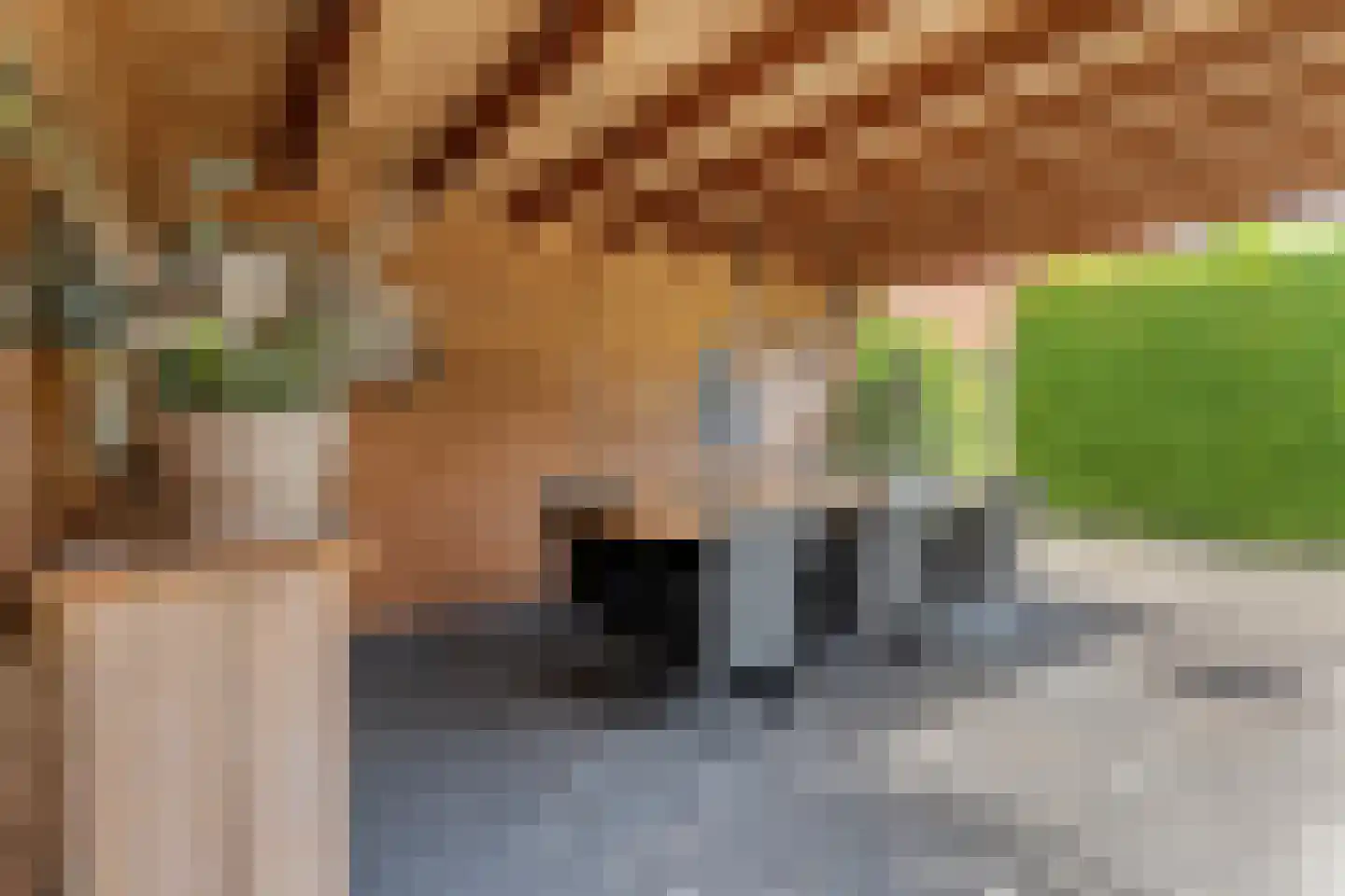 Hesselinkkamp 25 Mariënberg thumbnail 55