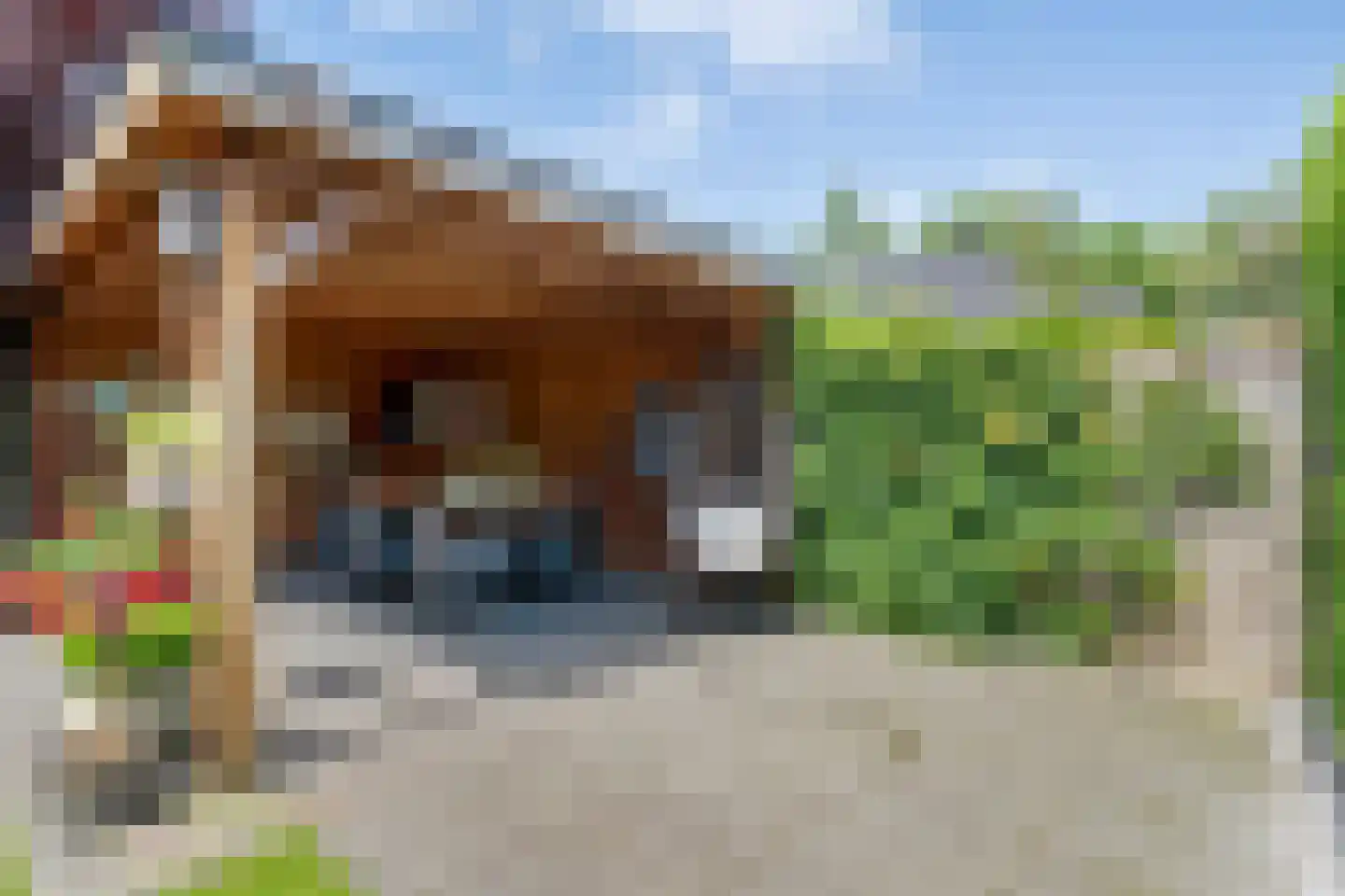 Hesselinkkamp 25 Mariënberg thumbnail 56