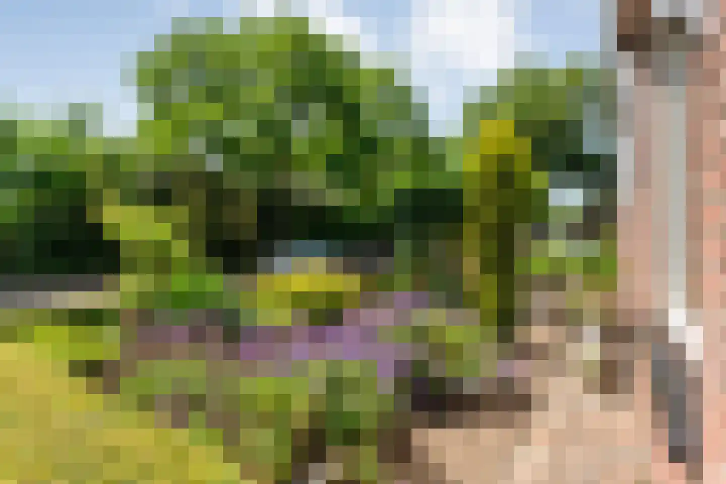 Hesselinkkamp 25 Mariënberg thumbnail 6