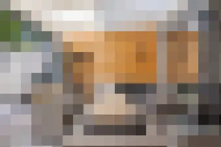 Hesselinklanden 151 Enschede thumbnail 26