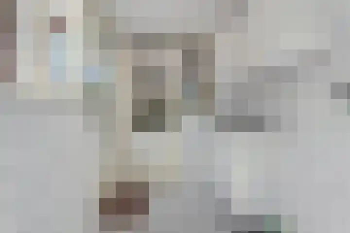 Hesselsstraat 7 Diever thumbnail 10