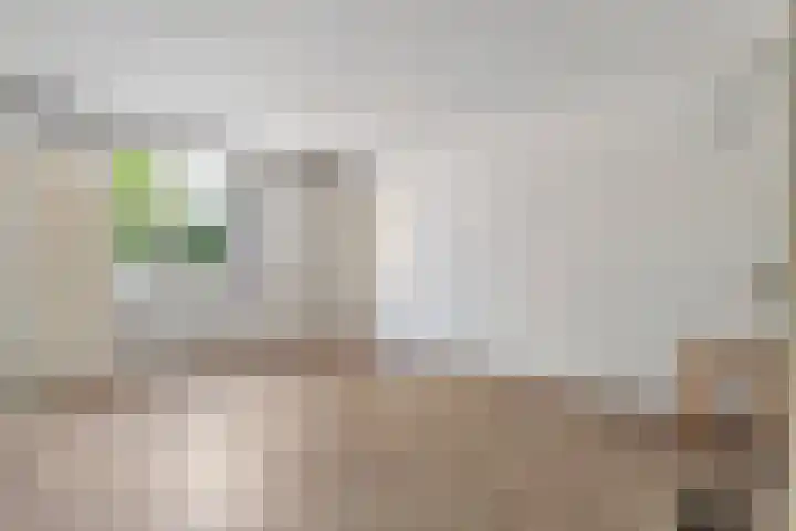 Hesselsstraat 7 Diever thumbnail 11