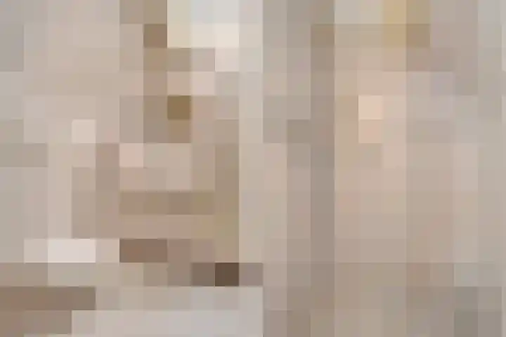 Hesselsstraat 7 Diever thumbnail 15