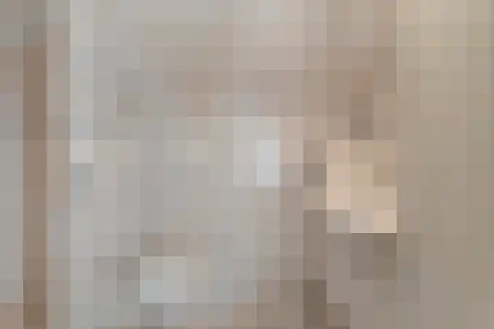 Hesselsstraat 7 Diever thumbnail 16