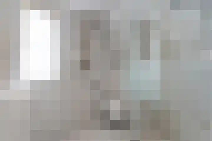 Hesselsstraat 7 Diever thumbnail 28