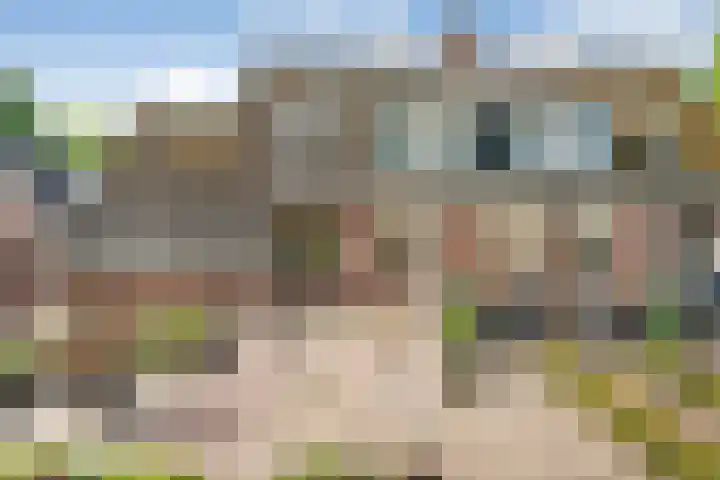 Hesselsstraat 7 Diever thumbnail 32