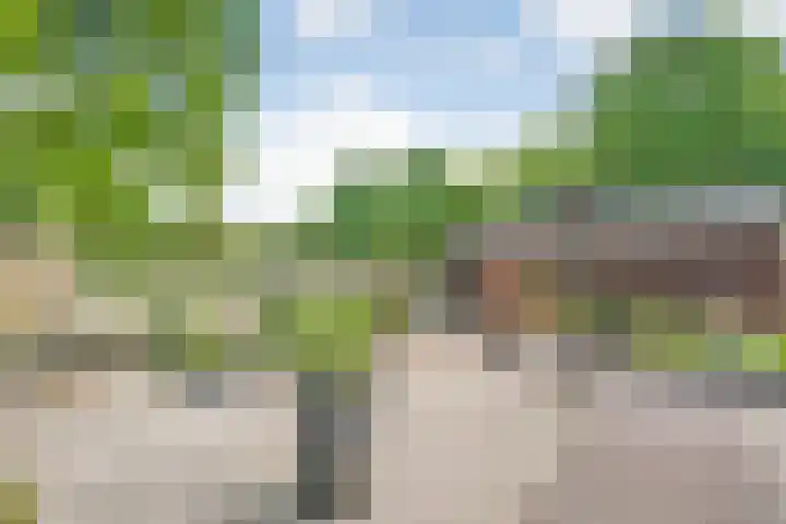 Hesselsstraat 7 Diever thumbnail 33