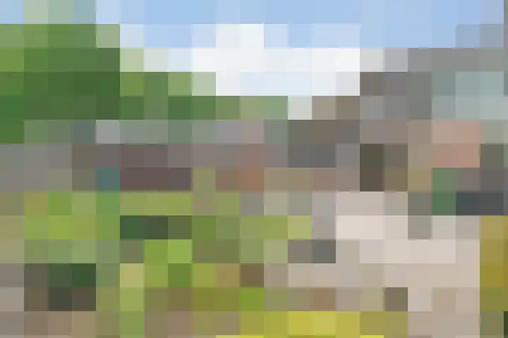 Hesselsstraat 7 Diever thumbnail 35