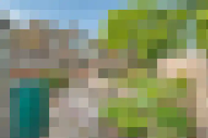 Hesselsstraat 7 Diever thumbnail 36