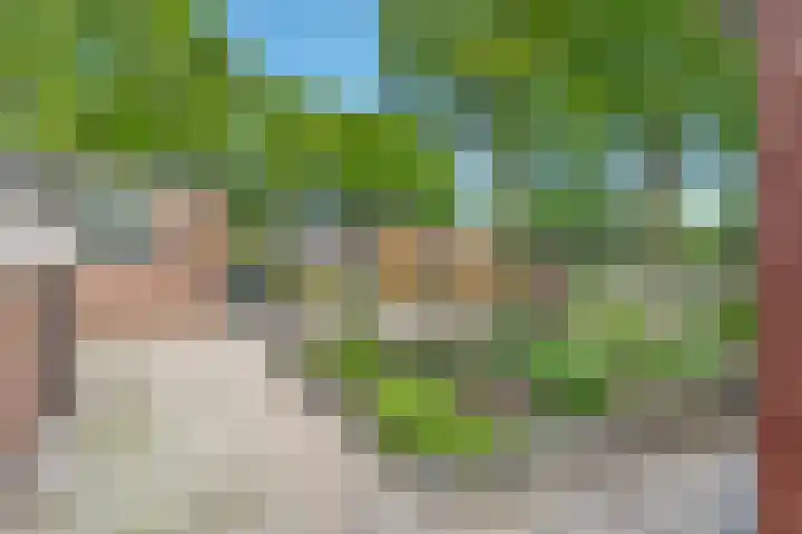 Hesselsstraat 7 Diever thumbnail 37