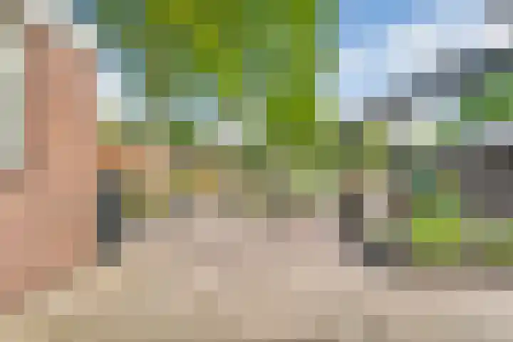 Hesselsstraat 7 Diever thumbnail 38