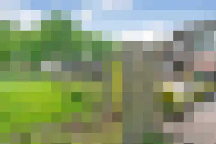 Hesselsstraat 7 Diever thumbnail 39