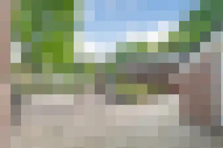 Hesselsstraat 7 Diever thumbnail 40