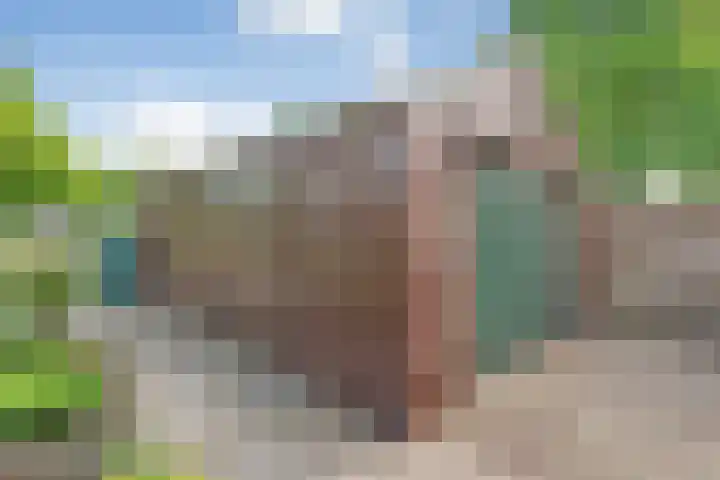 Hesselsstraat 7 Diever thumbnail 41