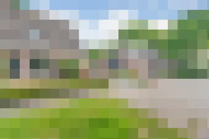 Hesselsstraat 7 Diever thumbnail 47