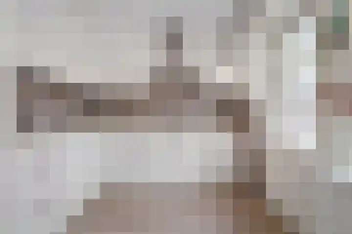 Hesselsstraat 7 Diever thumbnail 6