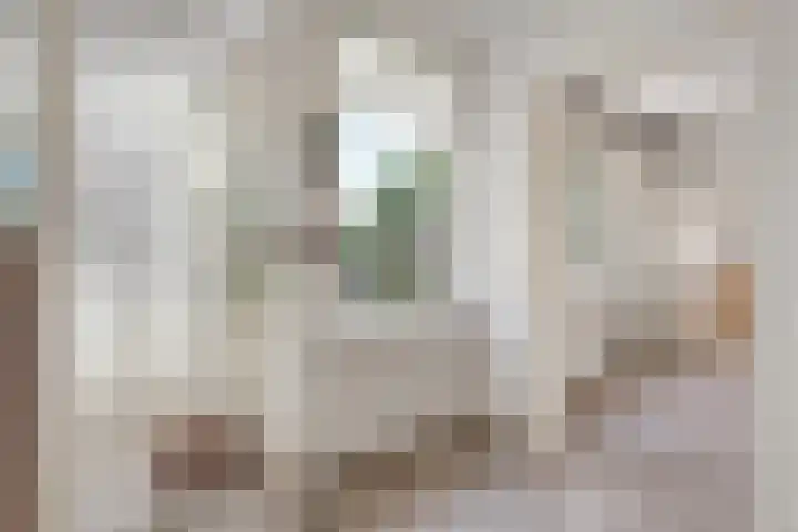 Hesselsstraat 7 Diever thumbnail 8