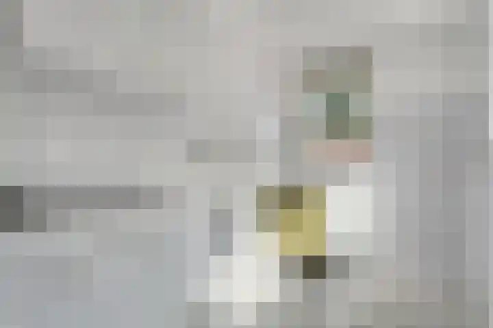 Hesselsstraat 7 Diever thumbnail 9
