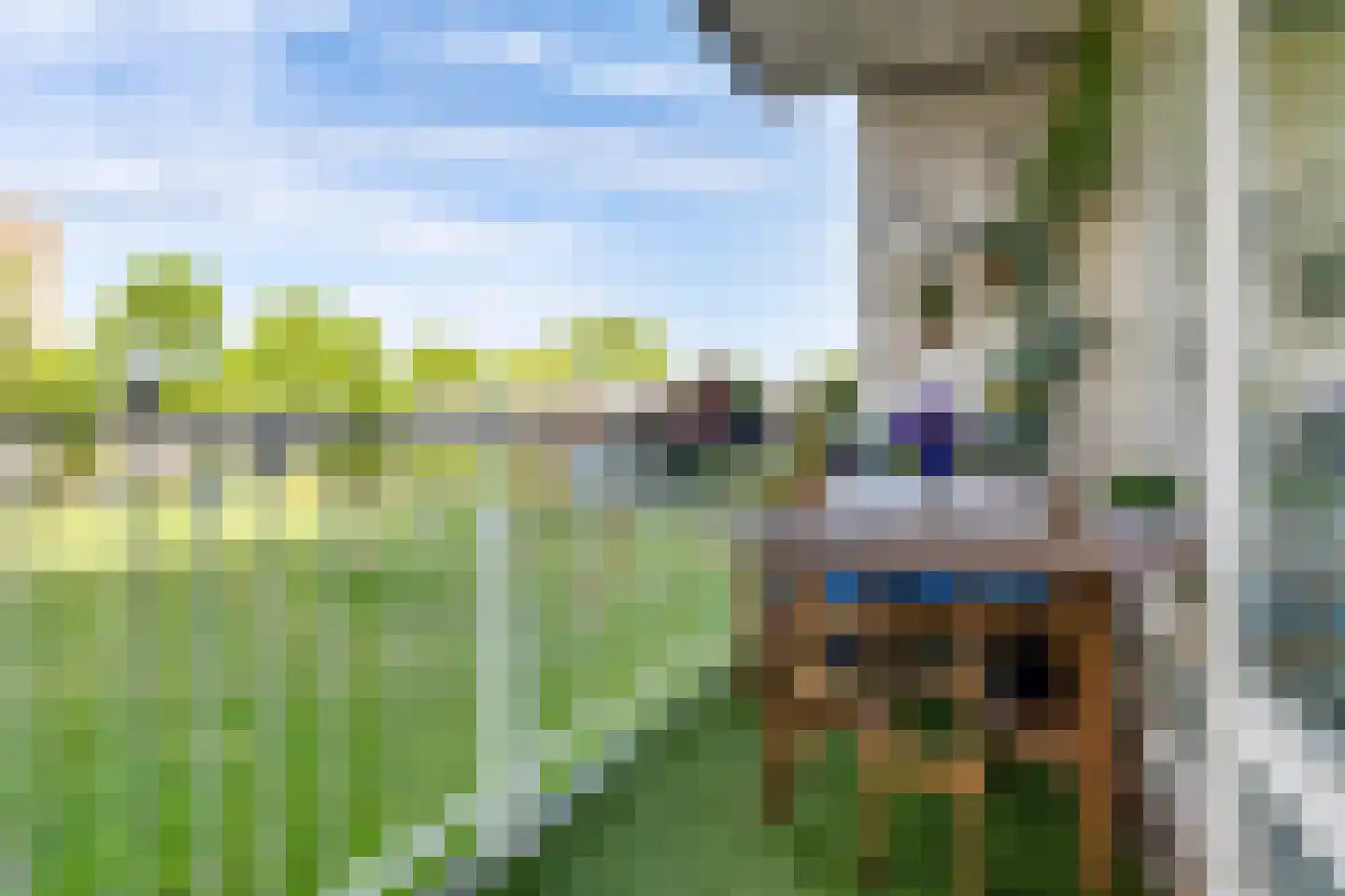 Hesselsstraat 87 's-Hertogenbosch thumbnail 15